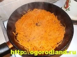 Салат «обжорка»