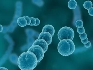 Бешиха шкіри лікування - скальпель - медичний інформаційно-освітній портал (лікування) Бешиха шкіри лікування - скальпель - медичний інформаційно-освітній портал