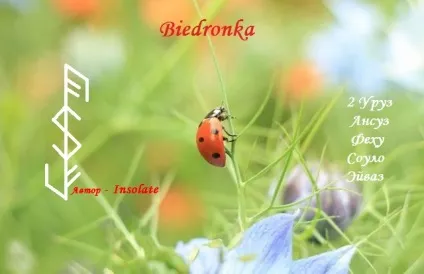 Руни чистки і захисту (рунная магія) Руни чистки і захисту