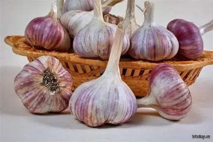 Найсолодші продукти в світі 1