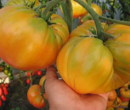 Найсолодші продукти в світі 1