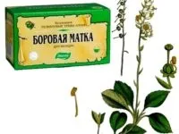 Шавлія при плануванні вагітності для чоловіків і жінок, чи допоможе при безплідді, стимулює чи (плануванні) Шавлія при плануванні вагітності для чоловіків і жінок, чи допоможе при безплідді, стимулює чи