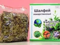 Шавлія при плануванні вагітності для чоловіків і жінок, чи допоможе при безплідді, стимулює чи (плануванні) Шавлія при плануванні вагітності для чоловіків і жінок, чи допоможе при безплідді, стимулює чи