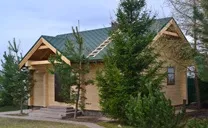Північний ліс - Константіновкаская сосна (сосна) Північний ліс - Константіновкаская сосна