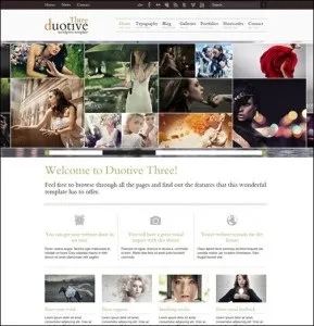 Шаблони wordpress premium і як з ними працювати (wordpress premium шаблони) Шаблони wordpress premium і як з ними працювати