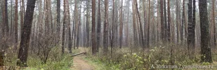 Скільки назв дощів ви знаєте, я (скільки) Скільки назв дощів ви знаєте, я
