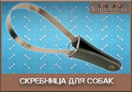 Скребниця для собак, як виглядає, як користуватися (виглядає) Скребниця для собак, як виглядає, як користуватися