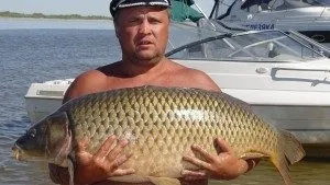 Сонник риба до чого сниться риба чоловікові бачити уві сні (чого) Сонник риба до чого сниться риба чоловікові бачити уві сні