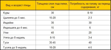 Зміст свійської птиці - своя ферма
