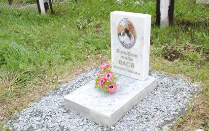 Собачі справи, дієслово