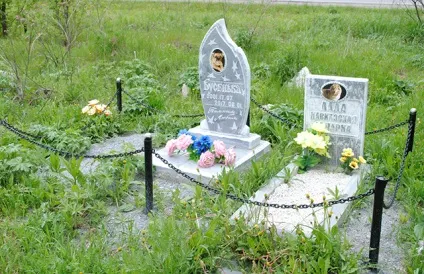 Собачі справи, дієслово