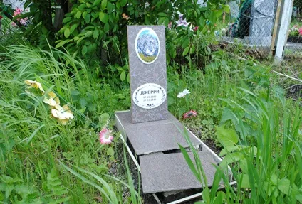 Собачі справи, дієслово