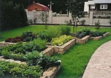 Спільні грядки для кращого врожаю (грядки) Спільні грядки для кращого врожаю