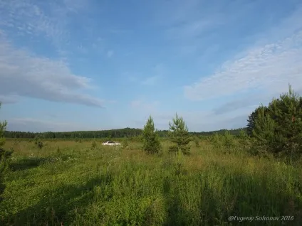 Поспішайте в ліс за ягодами! Євген Софронов за - ползуніхой -