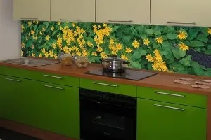Стіни зі скла в інтер'єрі домівки, скляні стіни в приміщенні (стіни) Стіни зі скла в інтер'єрі домівки, скляні стіни в приміщенні