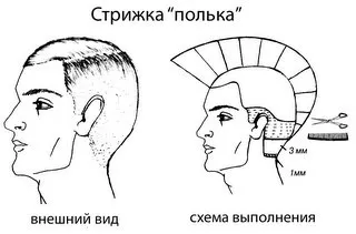 Стрижка «полька» - перукарське мистецтво
