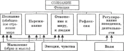 Структура свідомості «основи психології» (свідомості свідомість народжується) Структура свідомості «основи психології»