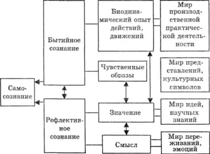Структура свідомості «основи психології» (свідомості свідомість народжується) Структура свідомості «основи психології»