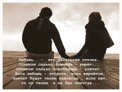 Стьобні цитати стьобні статуси розумні цитати про любов короткі цитати про любов цитати про жінок і (любов) Стьобні цитати стьобні статуси розумні цитати про любов короткі цитати про любов цитати про жінок і