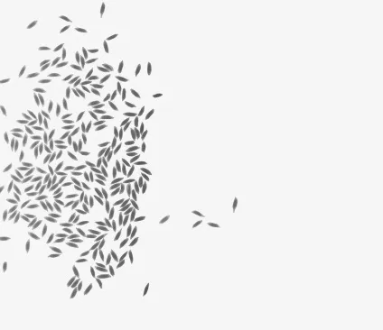 Засоби по догляду kenzoki (догляду) Засоби по догляду kenzoki
