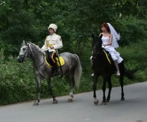 Весільні традиції вУкаіни, разом з нами (весільні) Весільні традиції вУкаіни, разом з нами