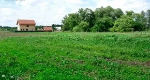Суборенда - що це таке, нежитлового приміщення, без згоди власника, договір, означає (таке) Суборенда - що це таке, нежитлового приміщення, без згоди власника, договір, означає
