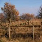 Які прикмети пов'язані з землею з кладовища (прикмети) Які прикмети пов'язані з землею з кладовища