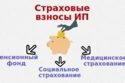 Які види діяльності може виконувати ип на ЕНВД (може) Які види діяльності може виконувати ип на ЕНВД