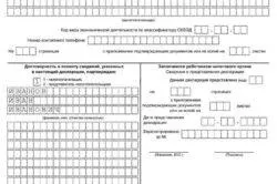 Які види діяльності може виконувати ип на ЕНВД (види) Які види діяльності може виконувати ип на ЕНВД