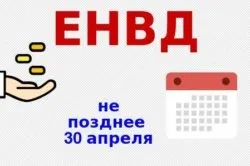 Які види діяльності може виконувати ип на ЕНВД (виконувати) Які види діяльності може виконувати ип на ЕНВД