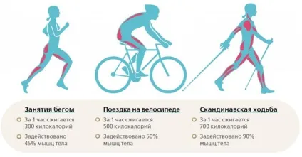 Які м'язи працюють на еліптичному тренажері, і як на ньому займатися (які) Які м'язи працюють на еліптичному тренажері, і як на ньому займатися