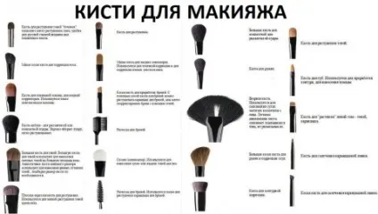 Які кисті потрібні для макіяжу (макіяжу) Які кисті потрібні для макіяжу