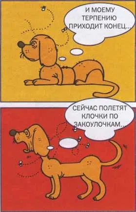 Тобі зустрілися чужі собаки - що робити якщо (собаки) Тобі зустрілися чужі собаки - що робити якщо