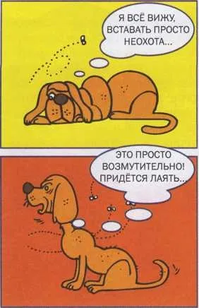 Тобі зустрілися чужі собаки - що робити якщо (чужі) Тобі зустрілися чужі собаки - що робити якщо