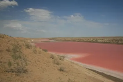 Так чи була «червона вода» (червона) Так чи була «червона вода»