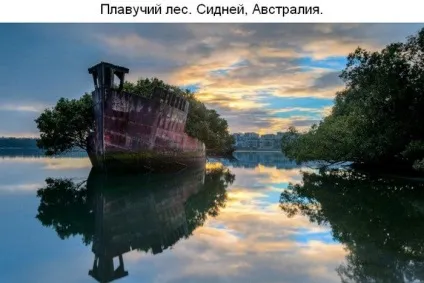 Там чудеса, там дідько бродить
