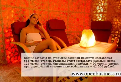 Свій бізнес соляні кімнати (галотерапія) (свій бізнес) Свій бізнес соляні кімнати (галотерапія)