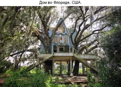 Там чудеса, там дідько бродить