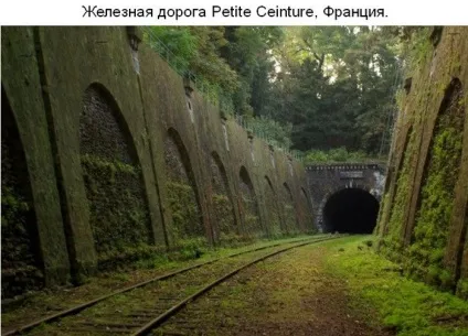 Там чудеса, там дідько бродить