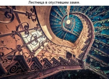 Там чудеса, там дідько бродить