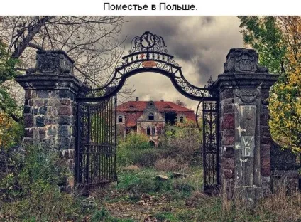 Там чудеса, там дідько бродить