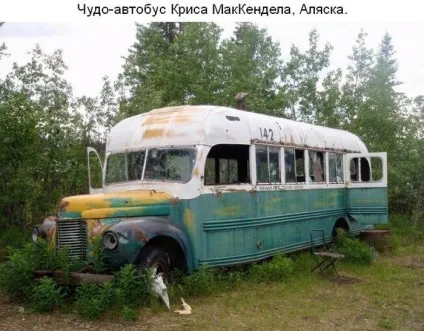 Там чудеса, там дідько бродить