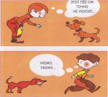 Тобі зустрілися чужі собаки - що робити якщо (зустрілися) Тобі зустрілися чужі собаки - що робити якщо