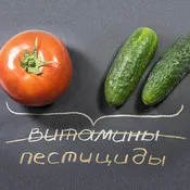 Тести, попит - електронний журнал для споживачів (досліджень гастроному Стандарт) Тести, попит - електронний журнал для споживачів