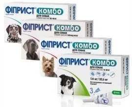Тибетський мастиф фото, опис породи і характер