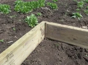 Теплиця своїми руками