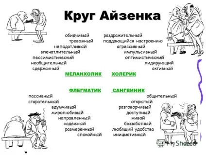 Типи темпераменту та їх характеристика (флегматик) Типи темпераменту та їх характеристика