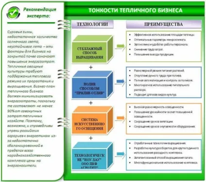 Тепличний бізнес - з чого почати і що вигідно вирощувати (вигідно) Тепличний бізнес - з чого почати і що вигідно вирощувати