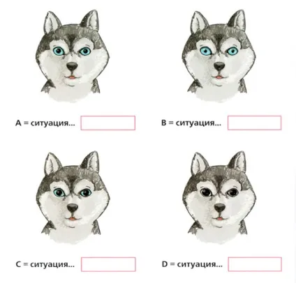 Тест 1 - зіниці собаки