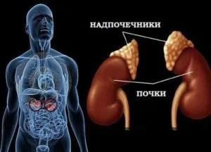 Чи видаляти наднирники операція, наслідки для організму